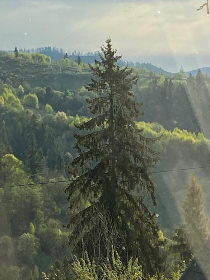 Шале Карпатська Казка Slavsko Exterior foto