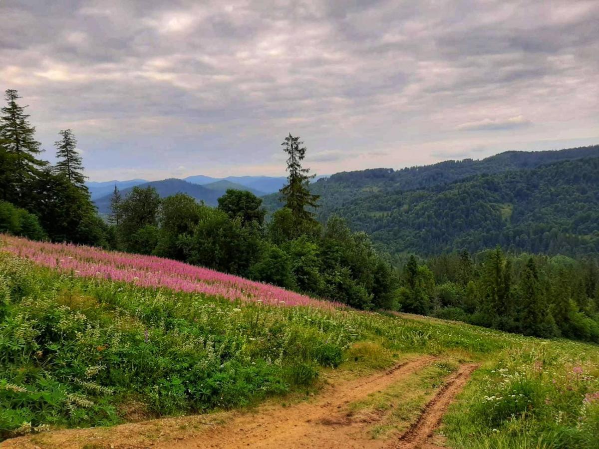 Шале Карпатська Казка Slavsko Exterior foto